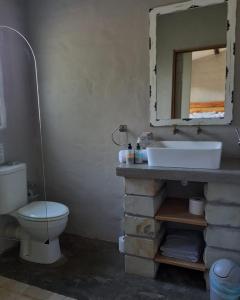 a bathroom with a sink and a toilet and a mirror at Springwater Cottages in Ficksburg