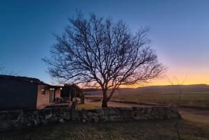 a tree next to a house with the sunset in the background at Springwater Cottages in Ficksburg