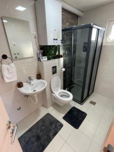 een badkamer met toilet, douche en wastafel bij Cetral032 in Čačak