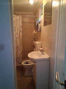 a small bathroom with a toilet and a sink at Perfekte Rast in Sibiu