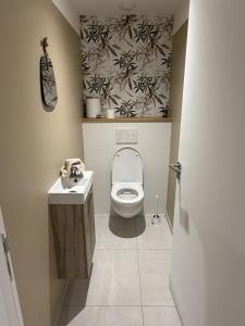 a small bathroom with a toilet and a sink at Ecrin de Lin in Rosnoën +13 photos