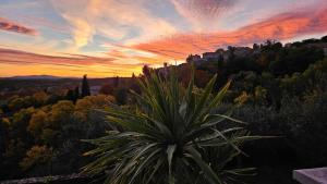 Naturlandskabet i nærheden af villaen + 6 billeder