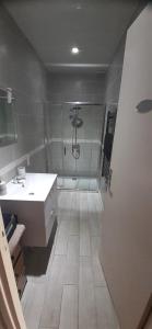 een badkamer met een douche en een witte wastafel bij Appartemment situé a lacaune les bains in Lacaune +17 foto's