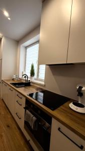 a kitchen with a sink and a counter top at MICKIEWICZ HOUSE Apartamenty in Wadowice +11 photos