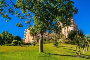 a tree in a field with a building in the background at Estudio Minerva 502 in Benalmádena