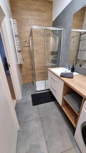 a bathroom with a shower and a sink at Apartament Skarbowa 2 in Leszno +11 photos