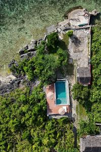 eine Luftansicht auf einen Garten mit einem Pool in der Unterkunft Uzuri Kubo Huts & Kwartos in Moalboal