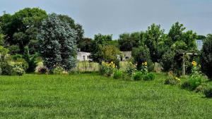 a field of green grass with trees and houses at Cabañas Natural Box 2 in Victoria