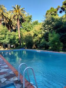 a swimming pool with palm trees in the background at Casa de Campo Brandsen - Quinta La Mandarina in Brandsen