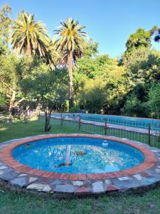 a circular pool in a yard with palm trees at Casa de Campo Brandsen - Quinta La Mandarina in Brandsen
