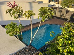 a pool with two palm trees in front of a building at Villa Marée La Costa in La Costa