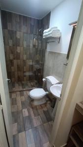 a bathroom with a toilet and a sink at Hotel Boutique Porá Iguazú in Puerto Iguazú