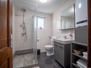 een badkamer met een douche, een toilet en een wastafel bij D.I.M. Holiday House in Seliste Dreznicko +71 foto's