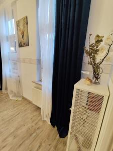 ein Zimmer mit einem schwarzen Vorhang und einem Tisch mit einer Pflanze in der Unterkunft NordseeNest Varel in Varel