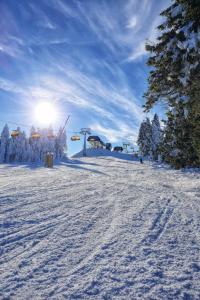 Forest House near Klínovec om vinteren
