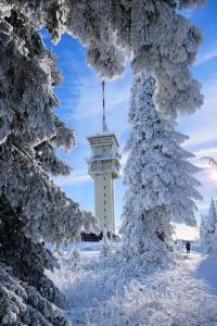 Forest House near Klínovec om vinteren