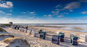 a row of beach chairs on a rocky beach at NordseeNest Varel in Varel