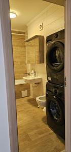een badkamer met wasmachine en toilet bij Goldmaurer in Târgu-Mureş