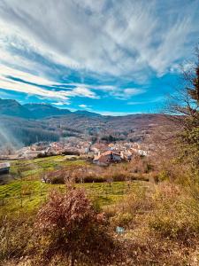 Naturlandskabet i nærheden af lejligheden