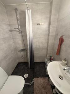 a bathroom with a shower and a toilet and a sink at Aurora Apartments in Kiruna +93 photos