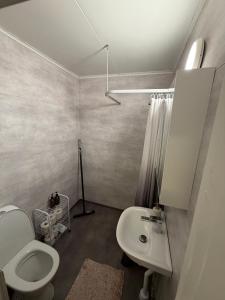 a bathroom with a toilet and a sink at Aurora Apartment 7 in Kiruna