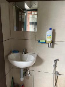 een badkamer met een wastafel en een spiegel bij Tulips villa in Mānantoddy +14 foto's