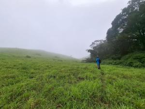 a person standing in a field with a field of grass at Malnad cloud homestay Agumbe in Someshwar +7 photos