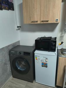 a kitchen with a washing machine and a microwave at Home MARIA in Orşova