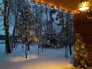 Beržų namelis - Birch cabin trong mùa đông