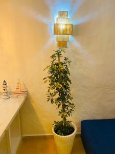 Ảnh trong thư viện ảnh của Villa by the Oualidia Lagoon ở Oualidia