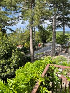 En have udenfor Casa Kuraj