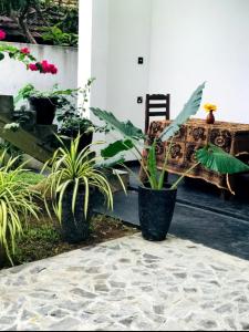 a patio with a couch and some plants at silent beach House For Ever in Tangalle