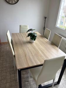 einen Esstisch mit einer Topfpflanze darauf in der Unterkunft Maison individuelle calme in 