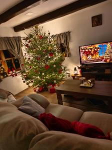 a living room with a christmas tree and a television at Kuća za odmor Jadra in Duga Resa