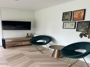a living room with two green chairs and a flat screen tv at Sustainable Stay by Palette Resort de-Steppe in Ulicoten