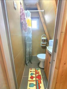 a small bathroom with a shower and a toilet at Tri breze in Kolašin +33 photos