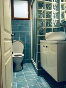a bathroom with a toilet and a sink at Ty Kéréon - Le cocon urbain in Quimper +10 photos