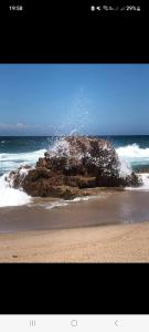 Naturlandskabet i nærheden af pensionatet