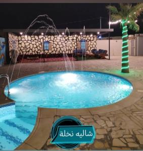 布赖代شالية نخلة的夜间游泳池,设有喷泉