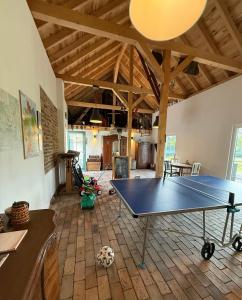 un tavolo da ping pong in mezzo a una stanza di Haus Hummel a Lieske