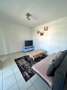 TV a/nebo společenská místnost v ubytování New and perfectly arranged apartment in Lyon!