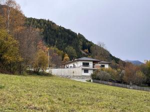 una casa in un campo vicino a una collina di Ferienwohnung Mauerblümchen a Dornbach