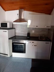 a kitchen with a stove and a microwave at Apartmani Vidović Viganj in Viganj +43 photos