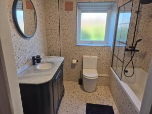 a bathroom with a sink and a toilet and a shower at Double room beside tramline in Dublin