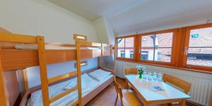 a small room with a table and a bunk bed at DJH Bautzen Gerberbastei in Bautzen