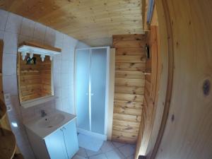 een badkamer met een douche en een wastafel in de kamer bij Gite Le Croé in La Celle-sous-Gouzon