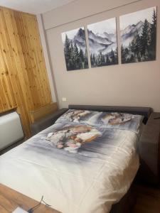 een bed in een kamer met drie foto's aan de muur bij Piccola Marmotta in Ovindoli