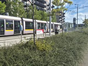 a train is stopped on the tracks in a city at Double room beside tramline in Dublin