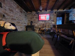 Et tv og/eller underholdning på Cabaña Pasiega "La Reina del Paraíso"