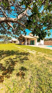 a tree in a field with a house in the background at Chalé M in Serra do Cipo